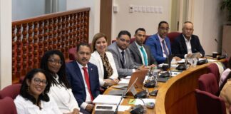 No cay den politica populista: Esaki ta e proceso di Rijkswet splica stap pa stap