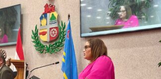 Parlamentario Shailiny Tromp-Lee: salario minimo pa ora y salario minimo pa nos hoben lo bira un realidad entrante 1 di januari 2026