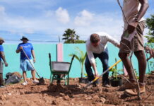 Vision pa reforestacion di Aruba ta sigui: Jacintha Kleuterschool Dakota a haya su hardin pa siña mucha planta mata