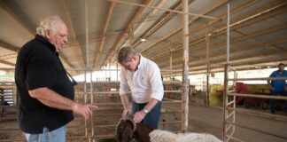 Prome Minister Mike Eman a bishita Santa Rosa den cuadro di e plan nacional di reforestacion