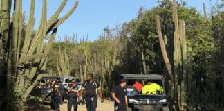 Turistnan herida den accidente cu UTV