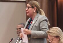 Parlamentario Jennifer Arends-Reyes: Vacaturanan den sector publico mester di personanan cualifica