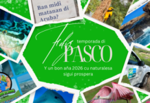 Directie Natuur en Milieu (DNM) lo ta cera pa e temporada di dianan di fiesta