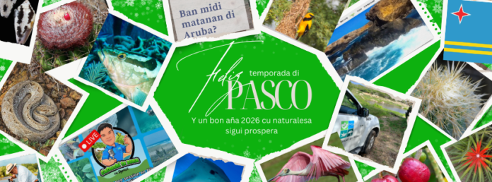 Feliz dianan di fiesta_1