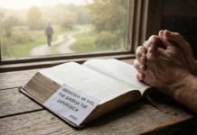 Obedencia na Dios ta surpasa tur experiencia