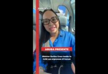 Gerlien y e silencio cu ta preocupa su votadornan; ainda no por duna cuenta di e viahe den jet priva