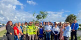 Proyecto piloto pa espacio berde urbano na Maracastraat, Dakota: Un Paso firme den Programa Nacional di Reforestacion
