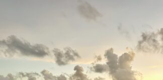 Cinco hende deteni despues cu a haya boto cu droga panort di Aruba