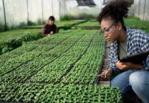 Evaluacion di proposicion pa beca di doctorado den Caribe a cuminsa