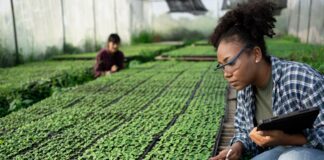 Evaluacion di proposicion pa beca di doctorado den Caribe a cuminsa