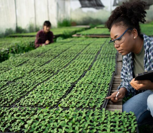 Evaluacion di proposicion pa beca di doctorado den Caribe a cuminsa