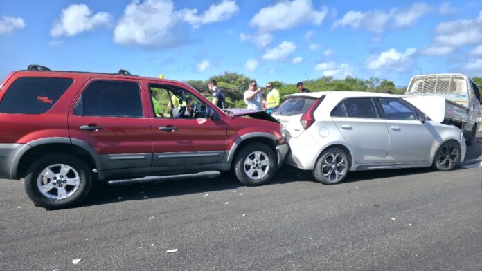 Puma_20251211_102451(0)