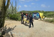 Brandweer mester a baha turista cu a bira malo for di Hooiberg