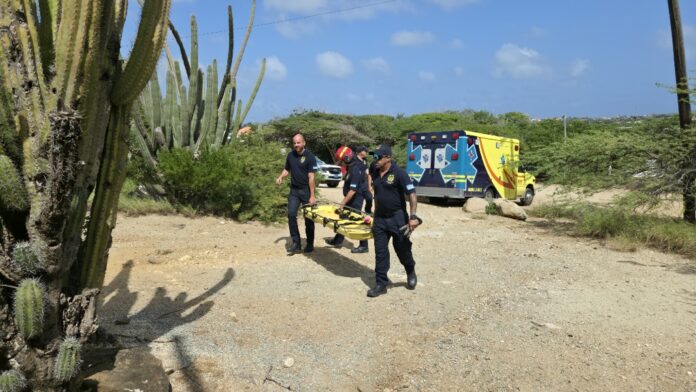 Puma_20251215_122555