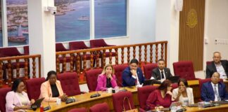 AVP ta sigui monitor accion di gobierno riba siguridad den trafico