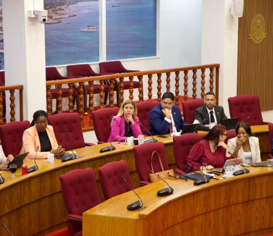 AVP ta sigui monitor accion di gobierno riba siguridad den trafico