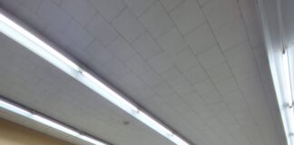 Dia Publico 2026 di Colegio Arubano