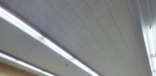 Dia Publico 2026 di Colegio Arubano