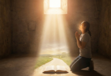 Oracion ta trece luzy saca tur cos na claridad