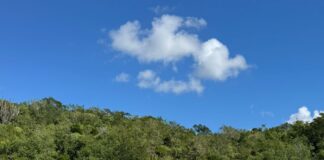 Dos persona perdi riba lama