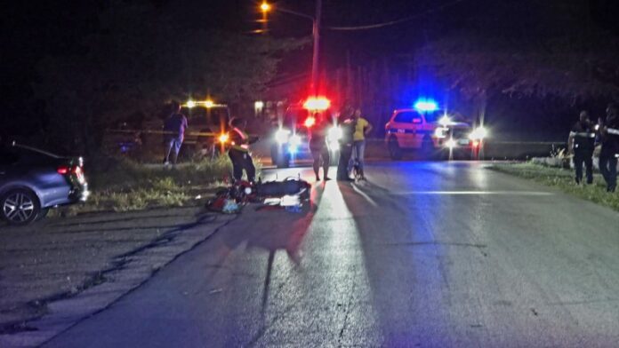 Puma_20251231_203525