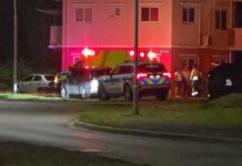 Mucha a fayece na Cura Cabay