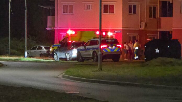 Puma_20260118_210252