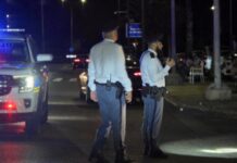 Polis mester a bay linear Park pa molester di brommernan