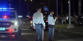 Polis mester a bay linear Park pa molester di brommernan