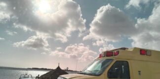 Turista Mericano a bira malo den lama na Palm Island y fayece