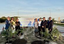 Fraccion AVP: Reconocemento bon mereci pa nos gran estadista Arubiano Henny Eman (dfm) y su legado