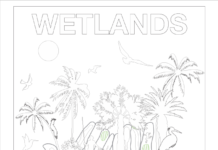 Directie Natuur en Milieu (DNM) ta invita nos muchanan pa “ban pinta pa Dia Mundial di Wetlands 2026”