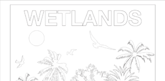 Directie Natuur en Milieu (DNM) ta invita nos muchanan pa “ban pinta pa Dia Mundial di Wetlands 2026”