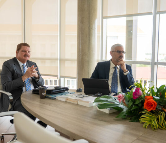 Encuentro virtual cu Staatssecretaris Eric van der Burg