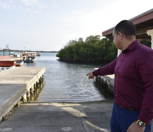 Parlamentario Eduard Pieters (PPA): “Cura Cabay ta un mescla di cultura, contaminacion y negligencia”