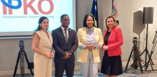 Parlamentario di AVP, Jennifer Arends-Reyes: IPKO mester sirbi pa comprende otro miho, coopera y avanza den Reino Hulandes