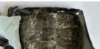 UNIT NARCOTICA CU TRES DETENCION Y DROGA โHASJโ CONFISCA