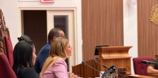 Parlamentario Jennifer Arends-Reyes ta enfatisa balor di cooperacion riba nivel di Reino: Den antesala di IPKO y Tripartiet