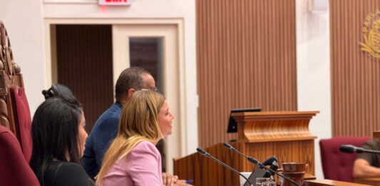 Parlamentario Jennifer Arends-Reyes ta enfatisa balor di cooperacion riba nivel di Reino: Den antesala di IPKO y Tripartiet