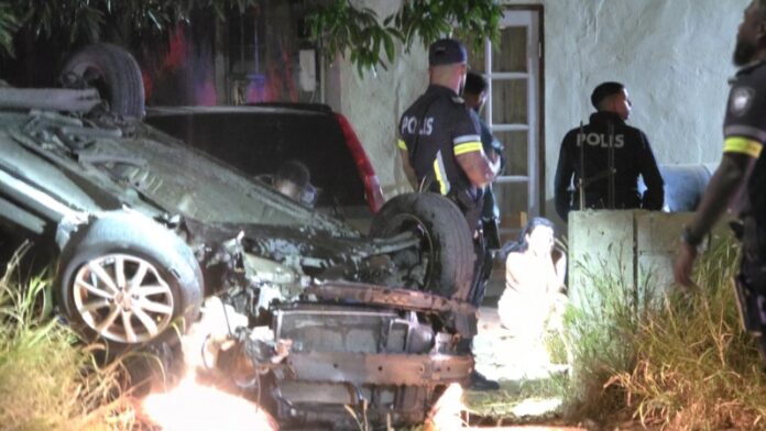 Puma_20260217_012643