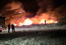 Candela grandi den Parke Curason