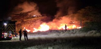 Candela grandi den Parke Curason