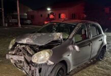 Homber hopi burachi a hit&run palo di luz na Bubali