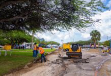 Expansion di Parke: Ta forma parti di proyecto di embeyecimento y reforestacion di Oranjestad