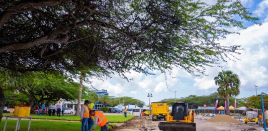 Expansion di Parke: Ta forma parti di proyecto di embeyecimento y reforestacion di Oranjestad