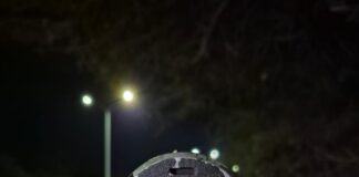 Preocupacion pa Velocidad halto: Unidad motorisa ta reparti 44 multa pa velocidad halto