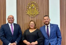 Shailiny Tromp-Lee: Firmesa y Profesionalismo pa un Trafico mas Sigur: Parlamento ta duna “go” na ley pa frena ‘Roekeloos Rijden’ y ‘Hit and Run’