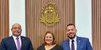 Shailiny Tromp-Lee: Firmesa y Profesionalismo pa un Trafico mas Sigur: Parlamento ta duna “go” na ley pa frena ‘Roekeloos Rijden’ y ‘Hit and Run’