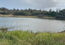 Sushi deposita na damnan ta menasa pa salud publico