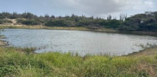 Sushi deposita na damnan ta menasa pa salud publico